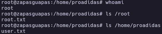 Root