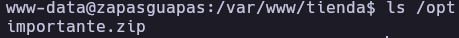 /opt